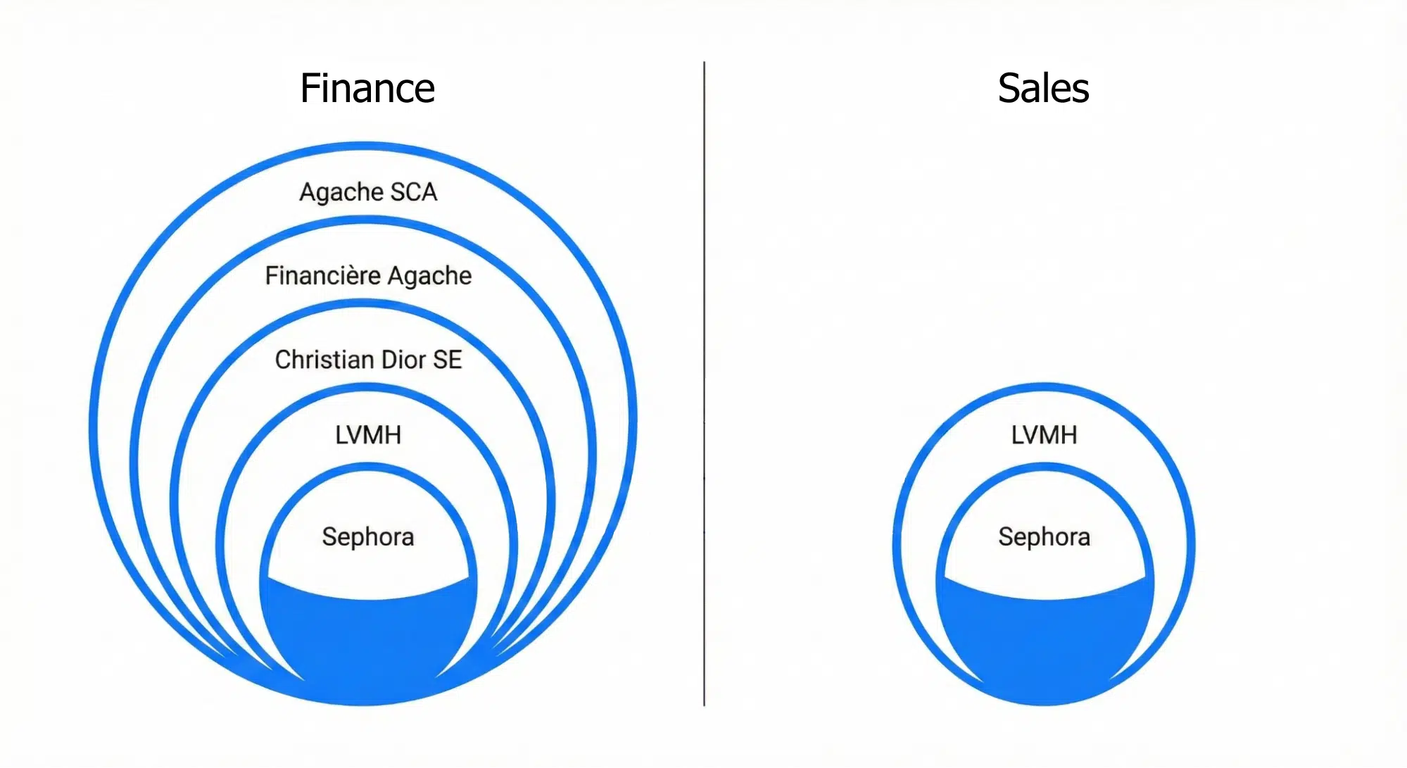 Diagram Comparisons of LVMH's Financial Hierarchy (Left) with the Brand Hierarchy (Right) used for Sales