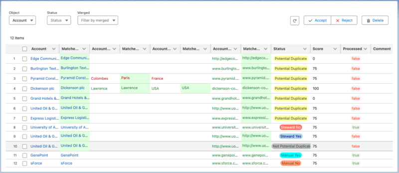 Image of the Delpha Steward View for Duplicates