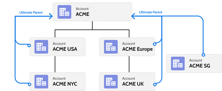 Visualisation of the ultimate account and its links to the children