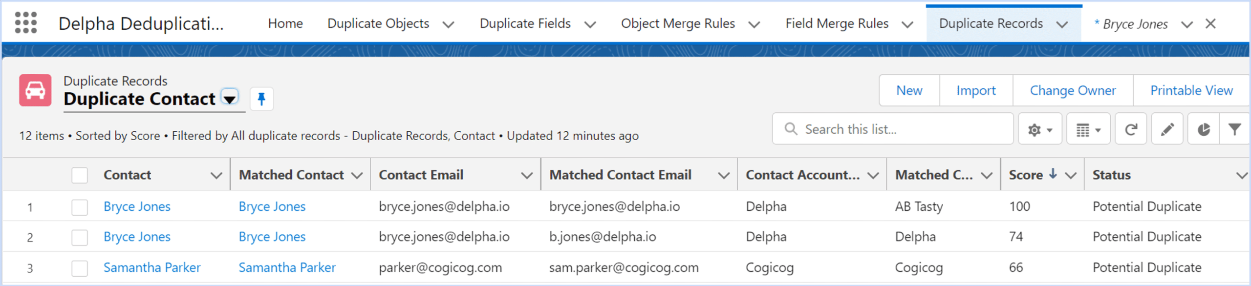 Screenshot showing where all the duplicate matches appear for users in Salesforce